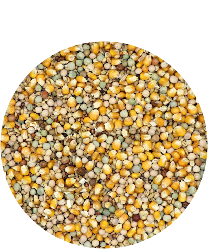 Porumbei Classic All-Round 20kg