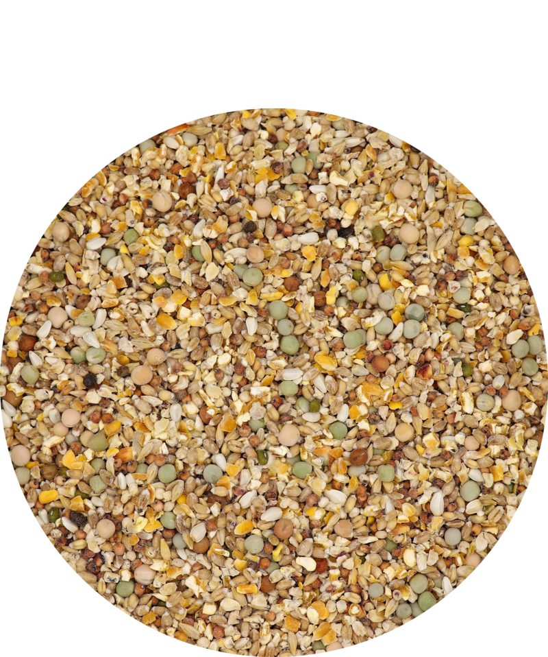 Gra-Mix Ardeness Mixture 20 kg