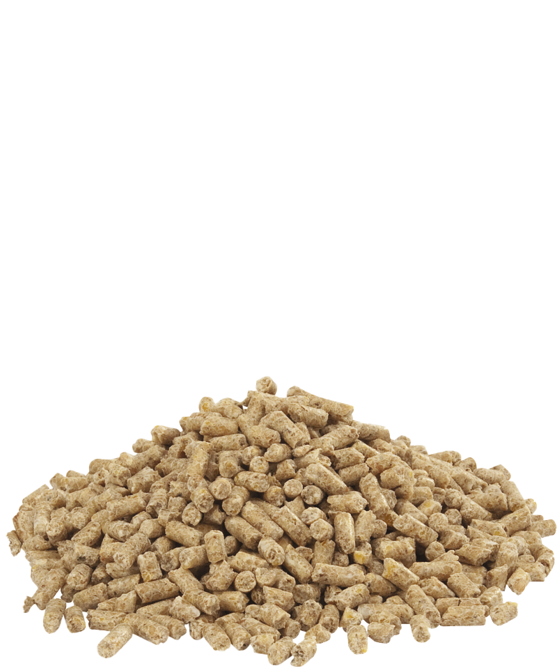 Dindo 2.1 pellet 20kg