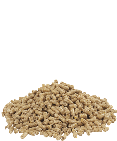 Dindo 2.1 pellet 20kg