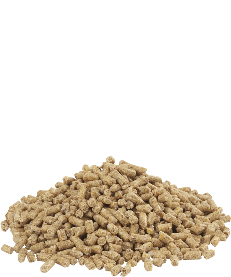 Dindo 2.3 pellet 20kg