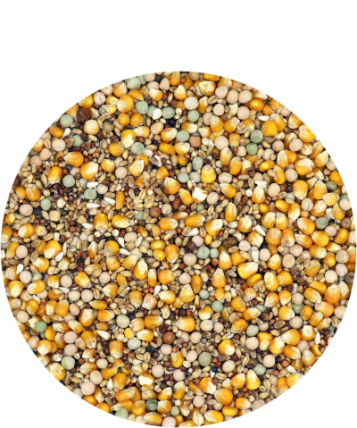 Porumbei Classic Sport 20kg