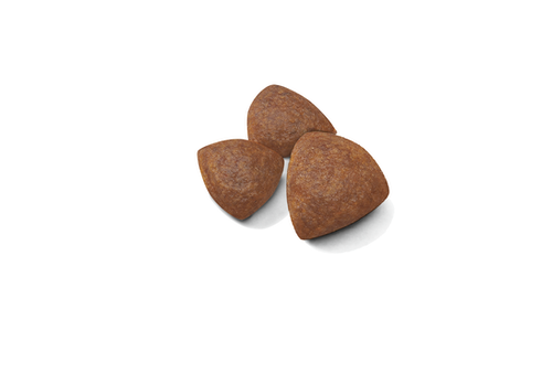 Starter Mother & Babydog - Medium 8kg