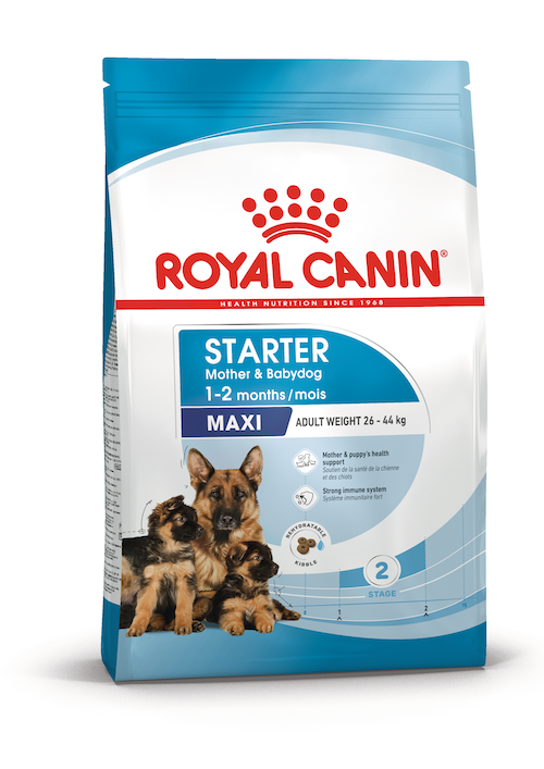 Starter Mother & Babydog - Maxi 8kg