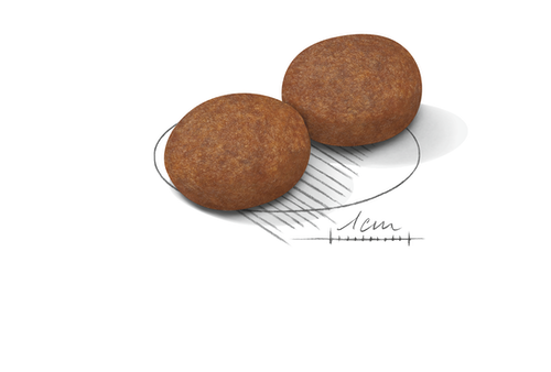 Medium Adult 15kg